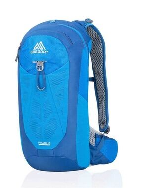 Gregory Blue Hydration Daypack - Men's Lightweight Backpack